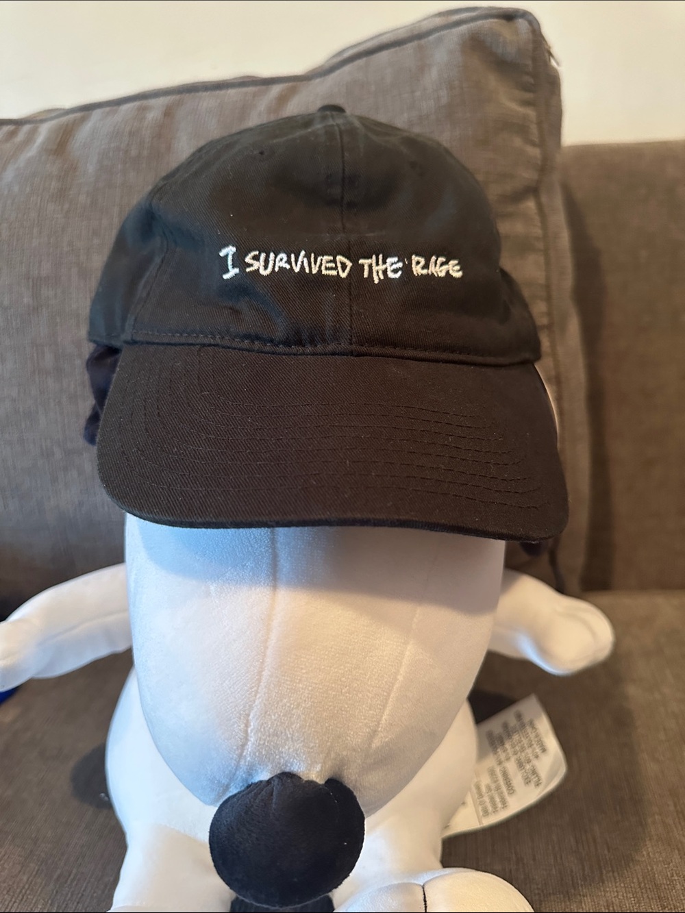 Authentic Kid Cudi “I Survived The Rage” Dad Hat – Rare Vintage Tour Merch